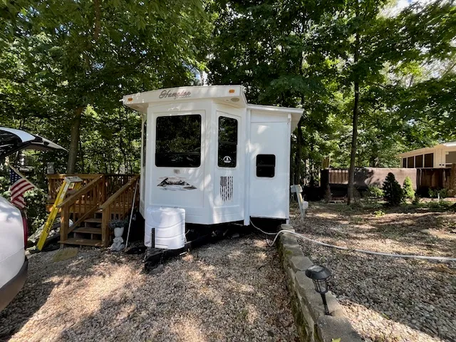 a view of a forest with trees