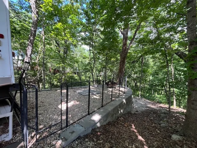 a view of a house with a tree