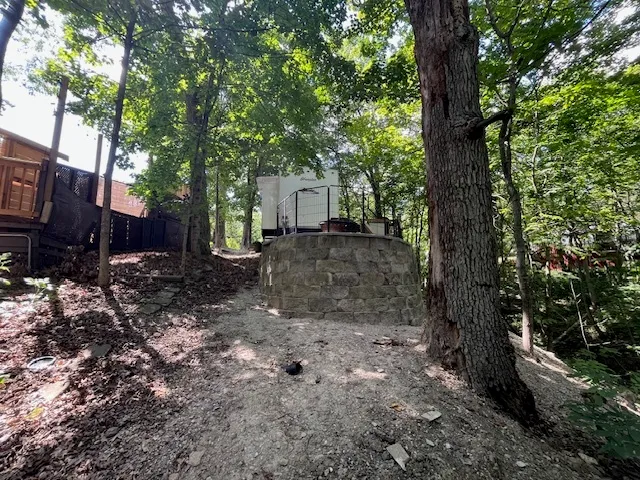 a view of a backyard with trees
