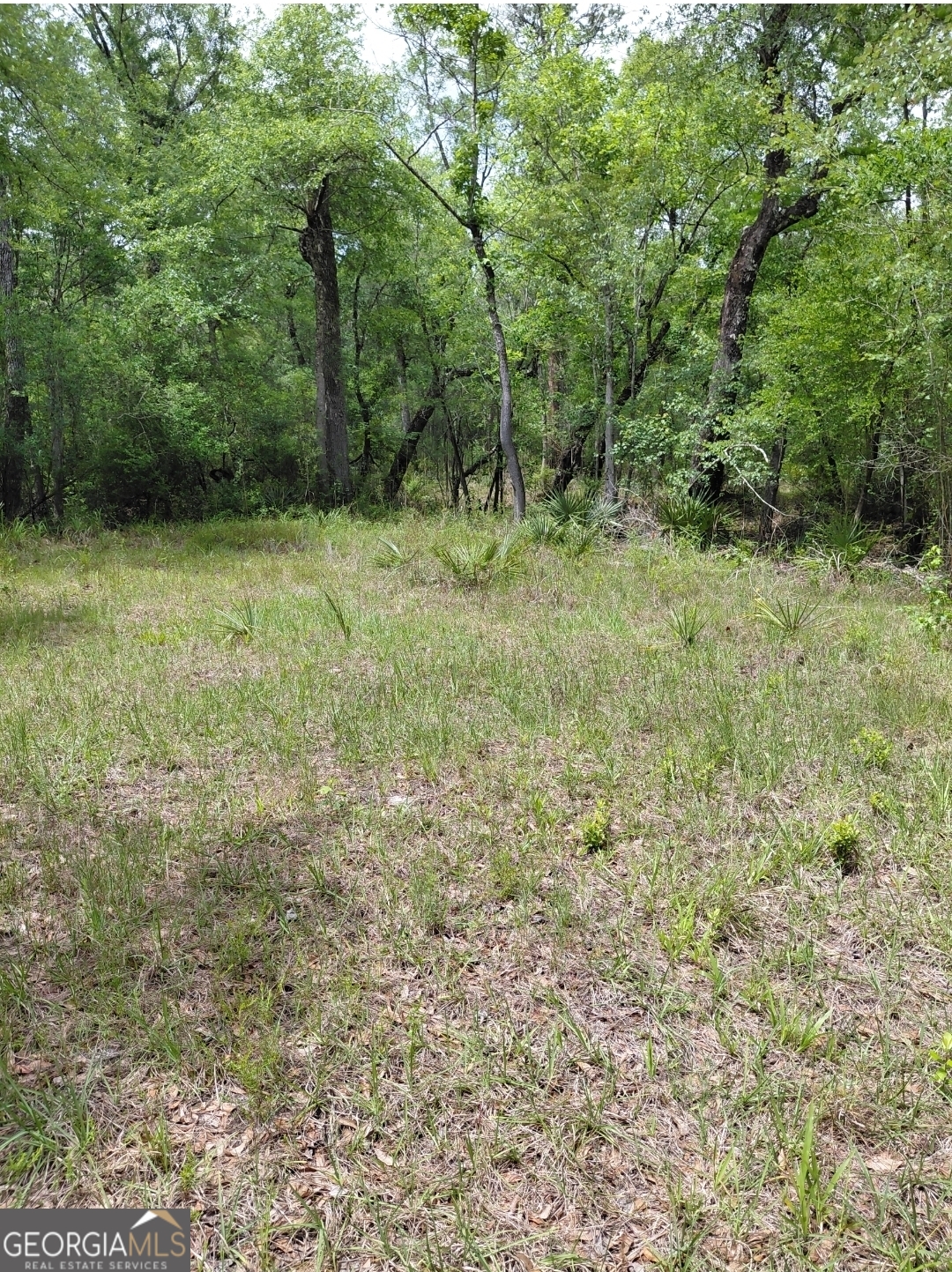 436 Russell Boulevard St. George, GA 31562 - Photo 23 of 33