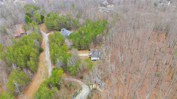 a close up of a plant in a garden