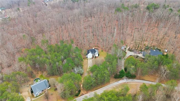 a view of a garden with large trees