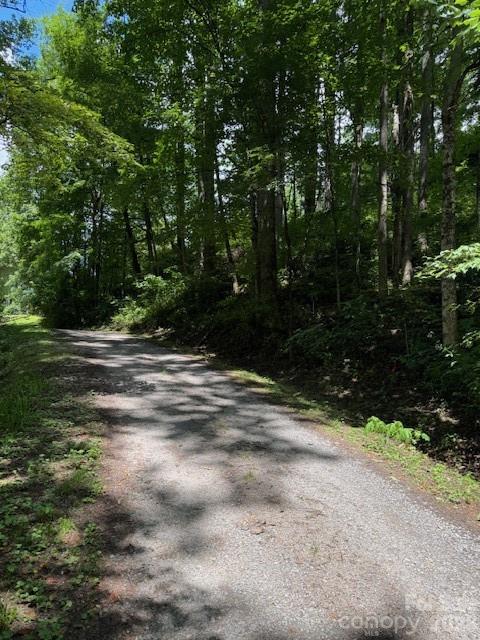 Lot 49 Rocky Ridge Road, Unit 49 Sylva, NC 28779 - Photo 8 of 8 Gallery Image 8