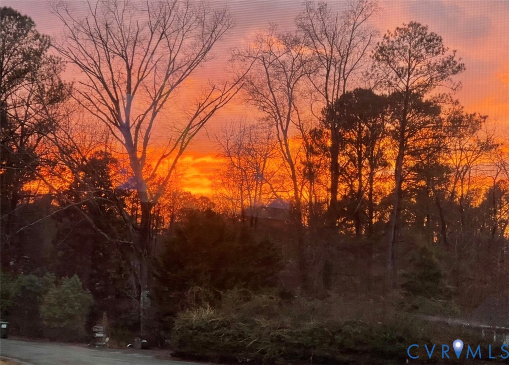 7471 Shoreline Drive Quinton, VA 23141 - Photo 42 of 45 a view of mountain view with lots of trees