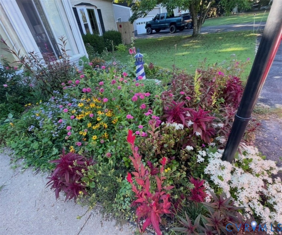 7471 Shoreline Drive Quinton, VA 23141 - Photo 43 of 45 a view of a flower in a garden