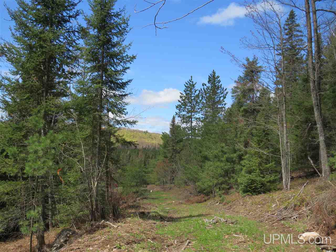 Tbd Tbd Off The Boise Route Road Negaunee, MI 49866 - Photo 6 of 45