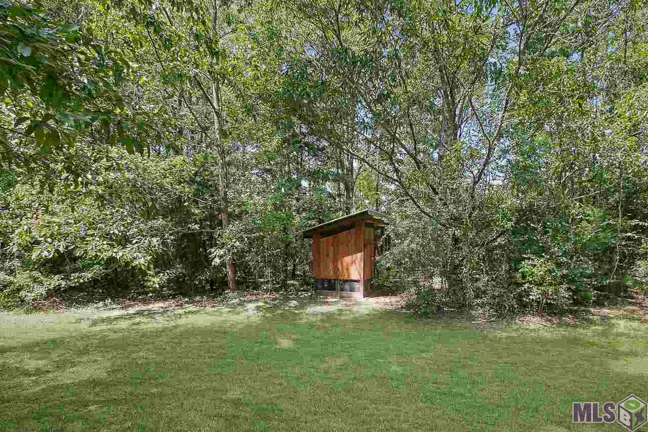 34901 Buck Carroll Road Walker, LA 70785 - Photo 34 of 42
