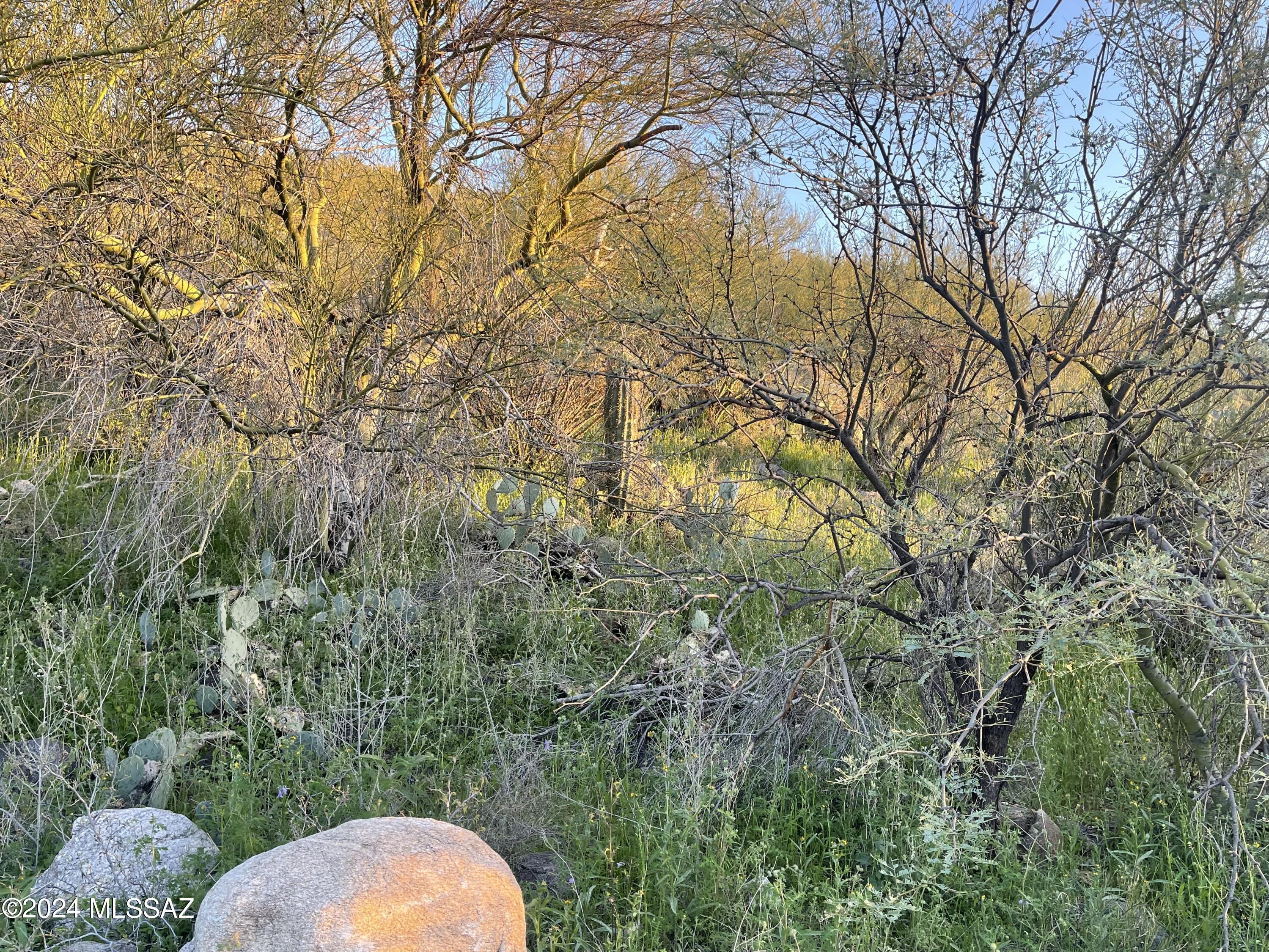 1996 East Buck Ridge Place, Unit 55 Tucson, AZ 85737 - Photo 8 of 12