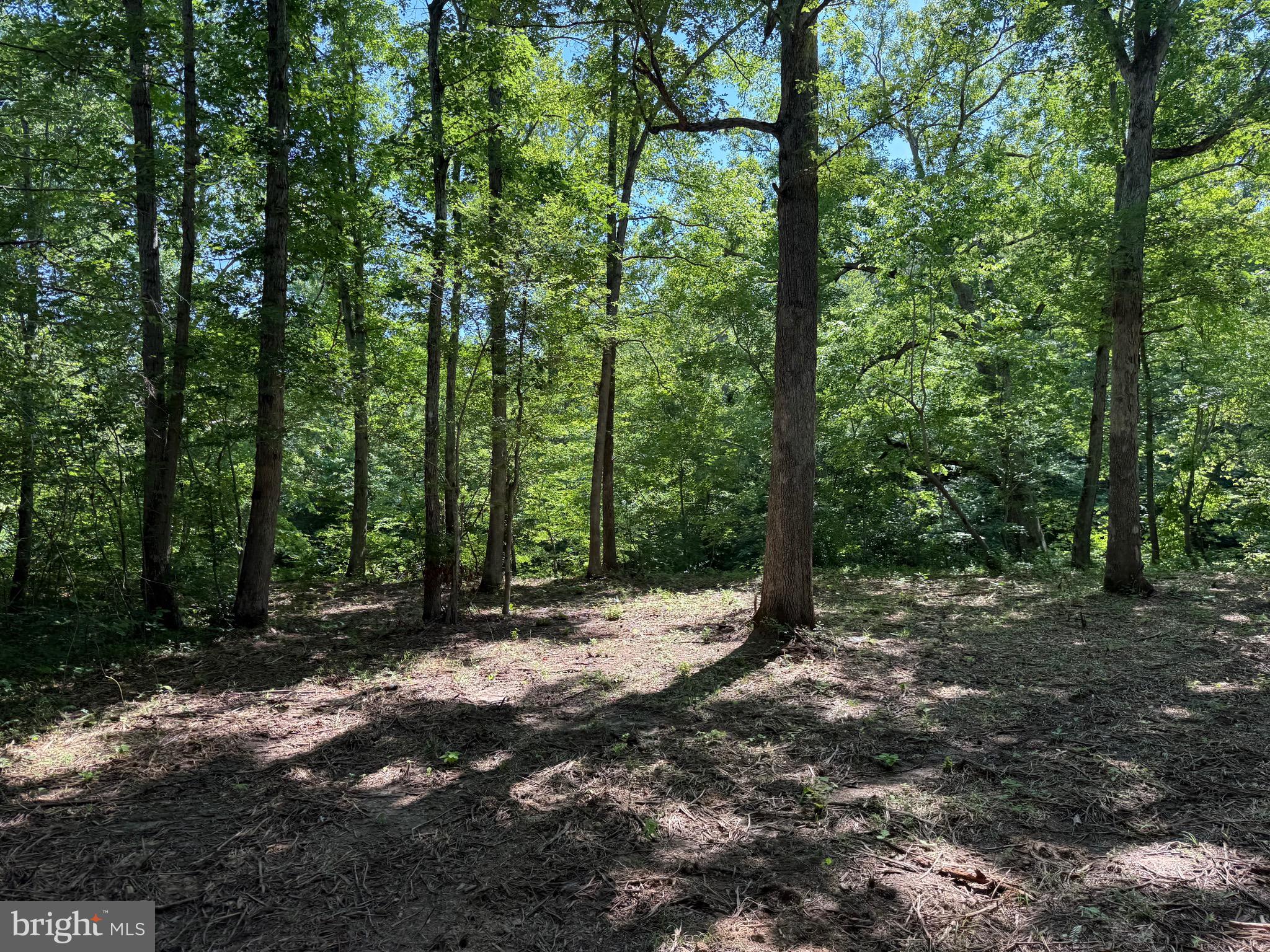 Tbd Hollywood Road Appomattox, VA 24522 - Photo 10 of 32