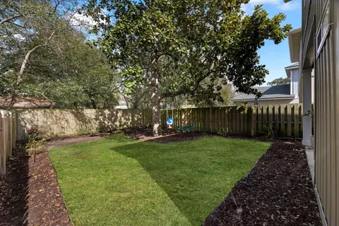 a view of a backyard with wooden fence and a large tree
