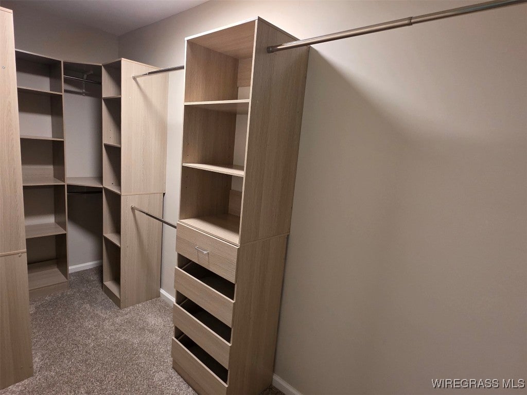 302 Overhill Road Opp, AL 36467 - Photo 16 of 26 Custom closet system