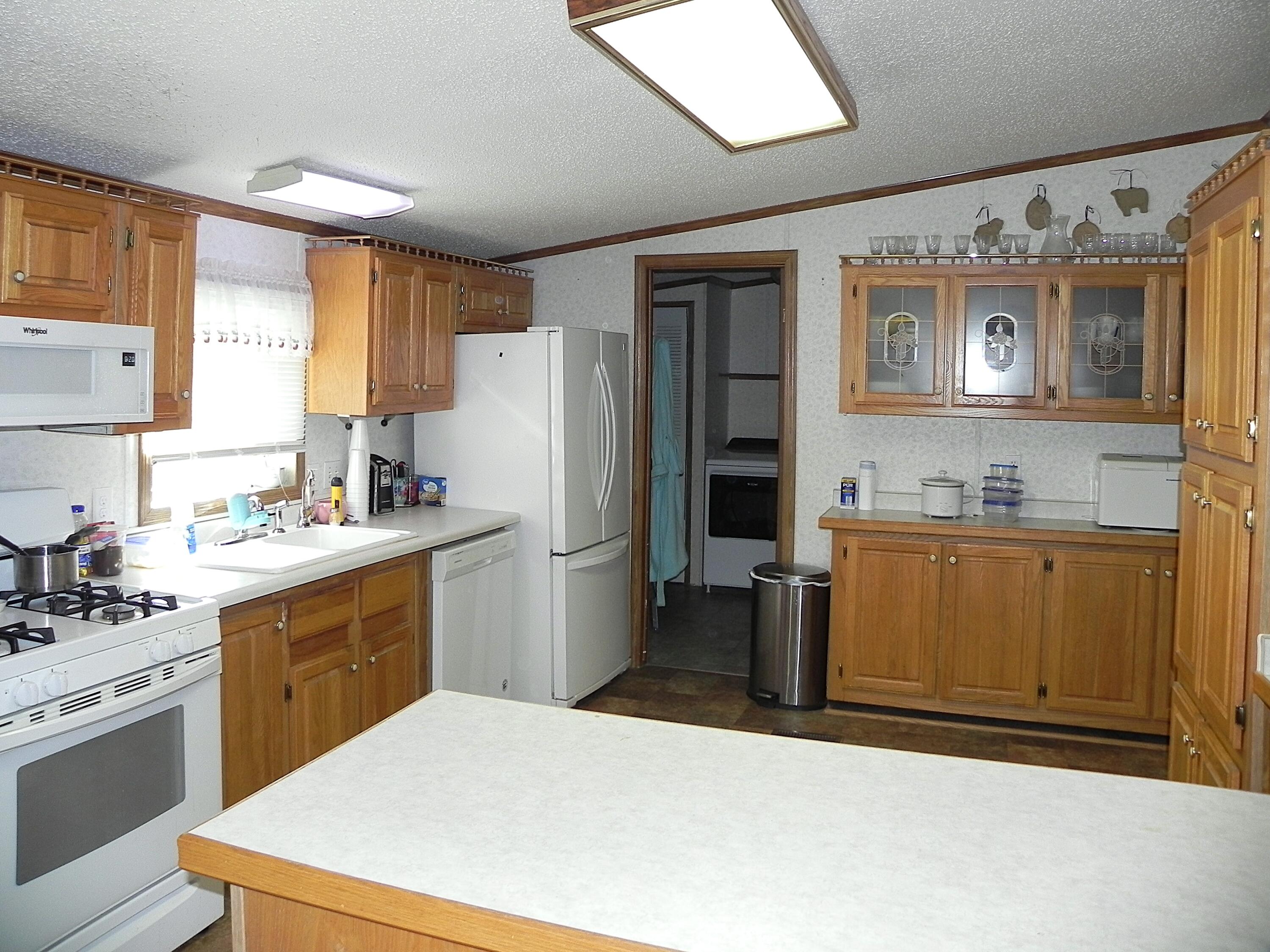 802 Raisin River Road Three Rivers, MI 49093 - Photo 3 of 28 DSCN2364