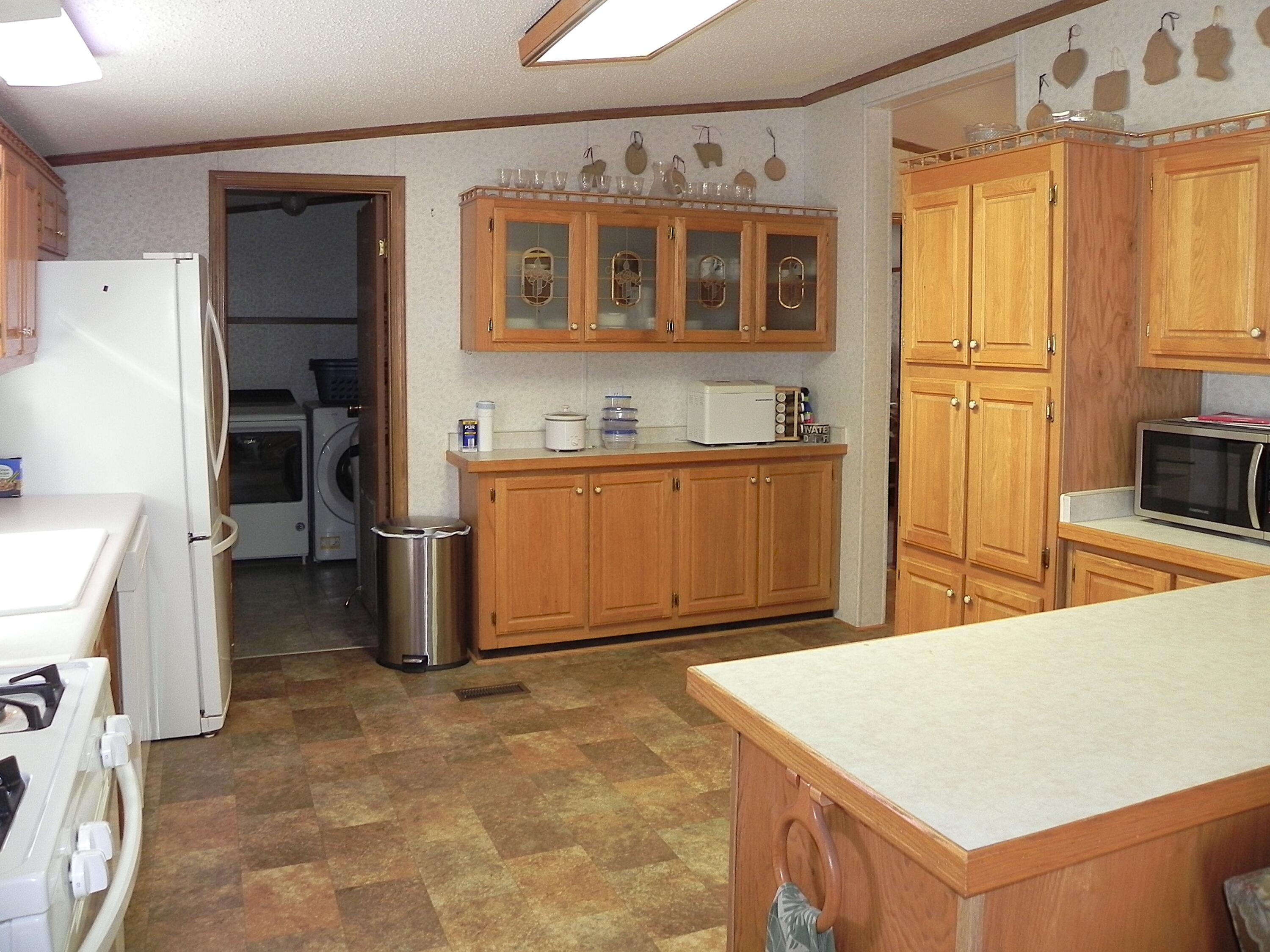 802 Raisin River Road Three Rivers, MI 49093 - Photo 6 of 28 DSCN2365