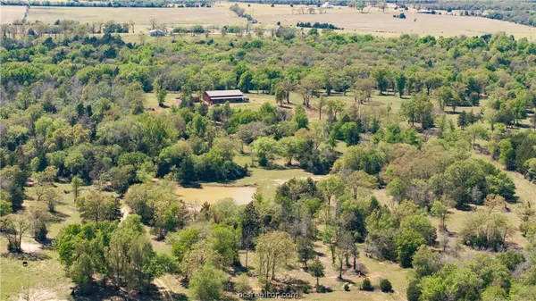 $1,350,000 | 9798 Farm To Market Road 2446, Franklin, TX 77856