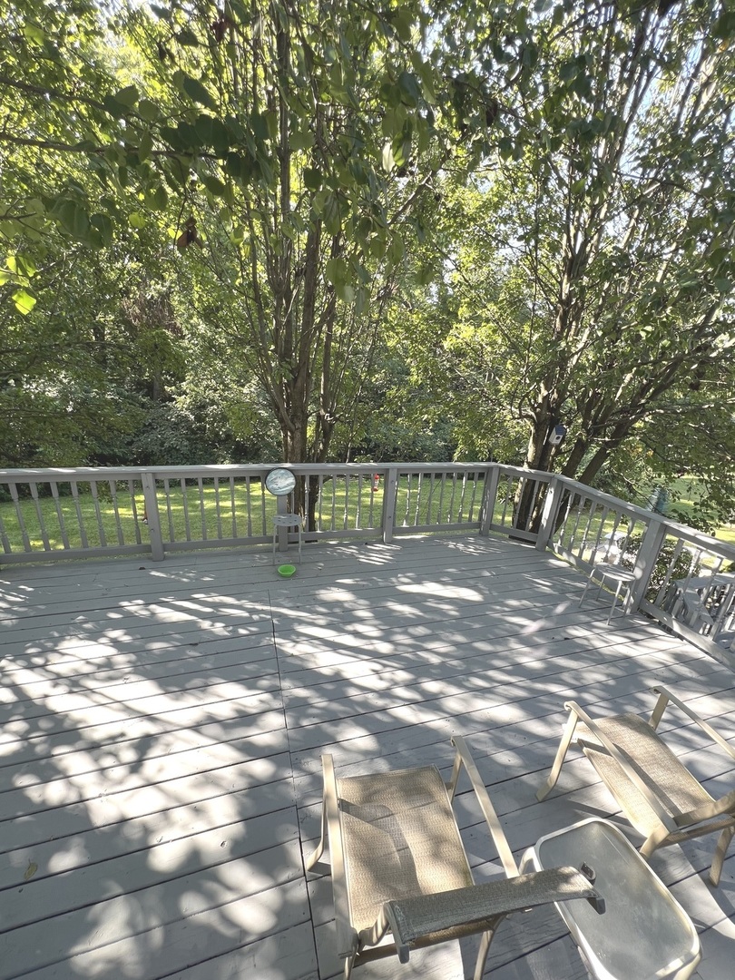 1018 Rain Tree Drive Bolingbrook, IL 60440 - Photo 17 of 21