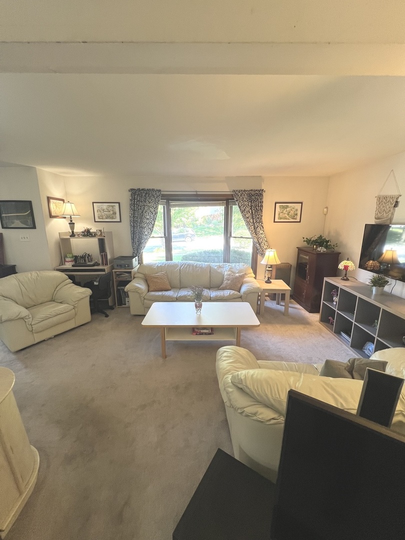 1018 Rain Tree Drive Bolingbrook, IL 60440 - Photo 3 of 21