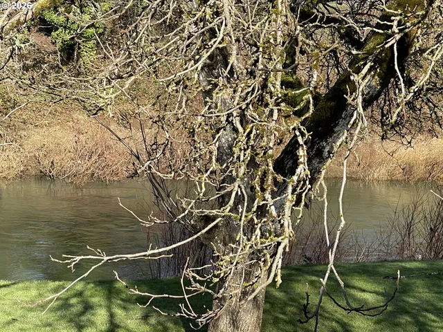a view of a backyard of the house