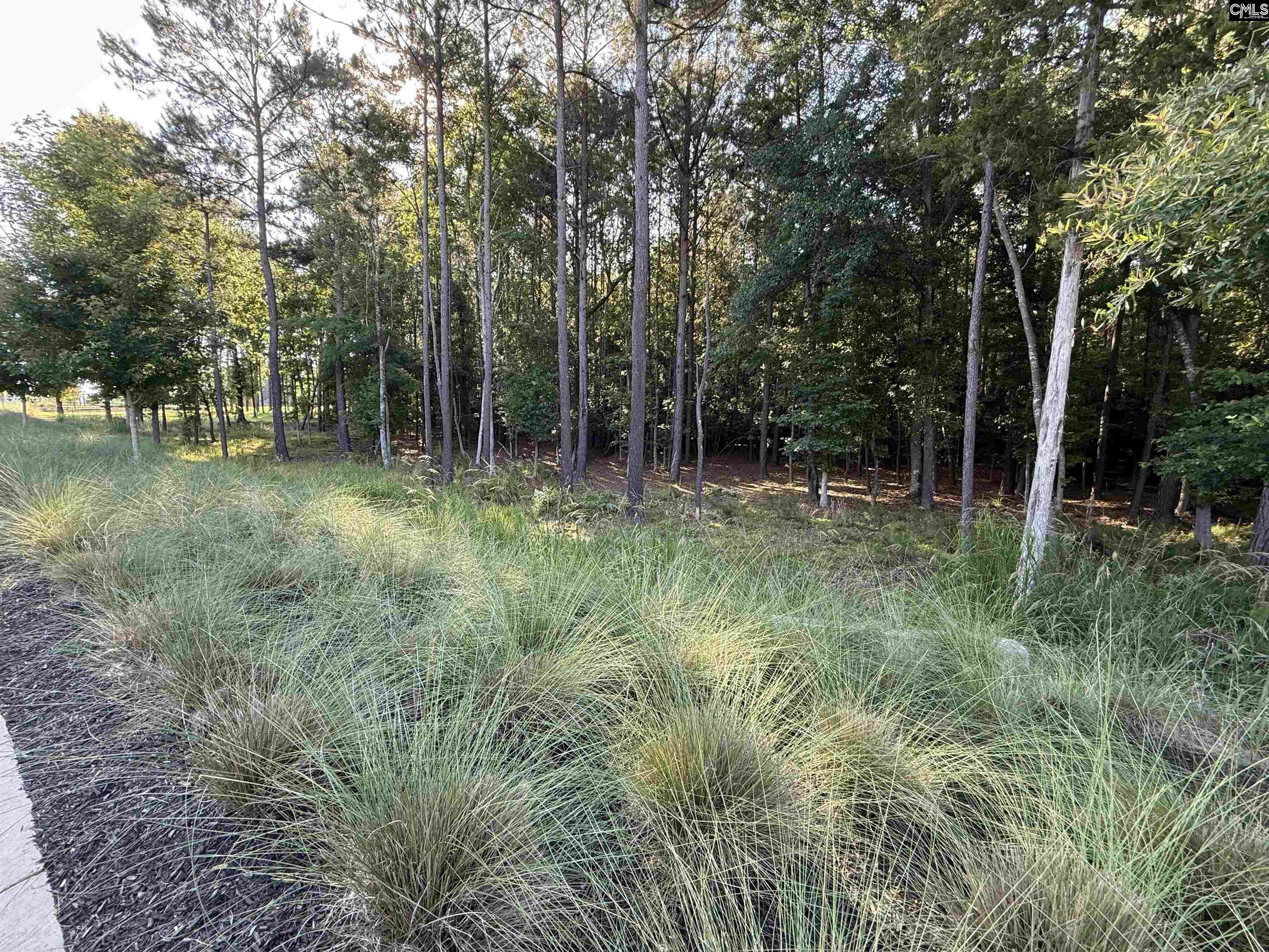 60 Circle H Woods Road Prosperity, SC 29127 - Photo 43 of 53