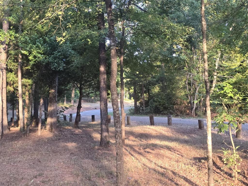 860 County Road 1627 Rusk, TX 75785 - Photo 30 of 37 a view of street with trees