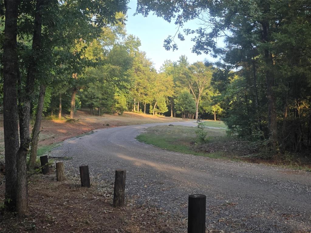860 County Road 1627 Rusk, TX 75785 - Photo 31 of 37 a view of a road with large trees