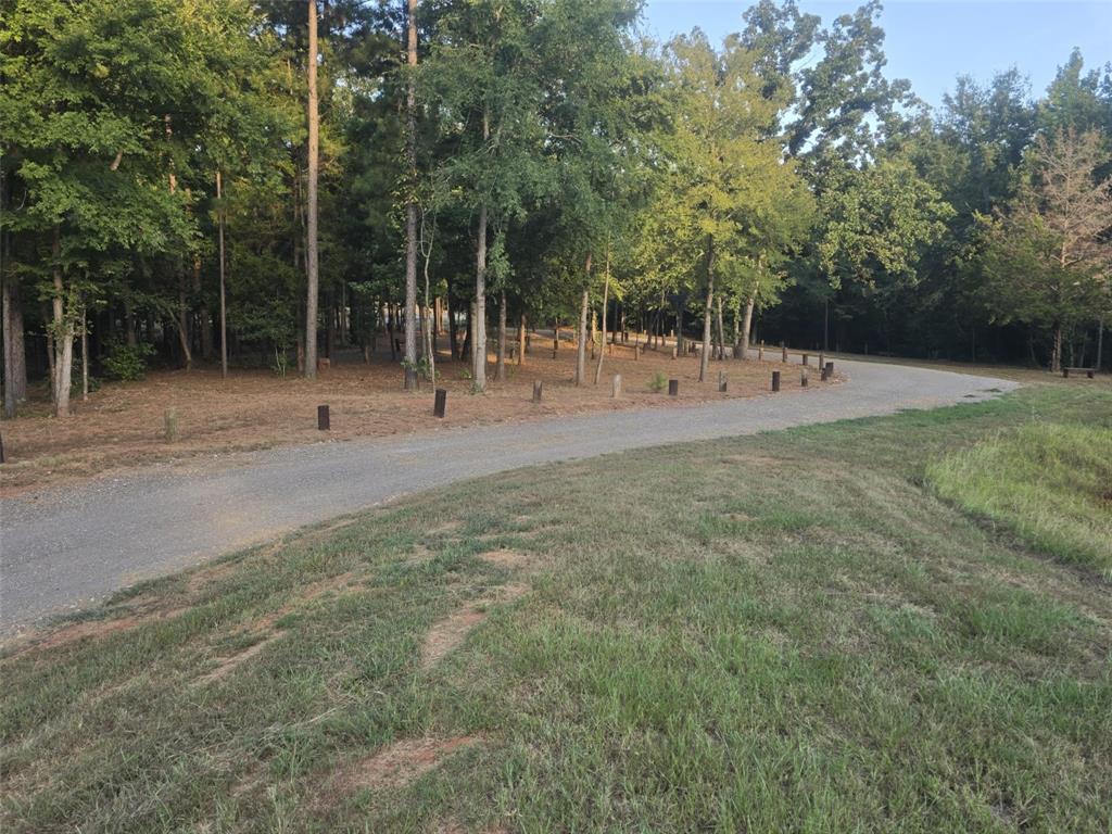 860 County Road 1627 Rusk, TX 75785 - Photo 33 of 37 a view of a park with trees in the background