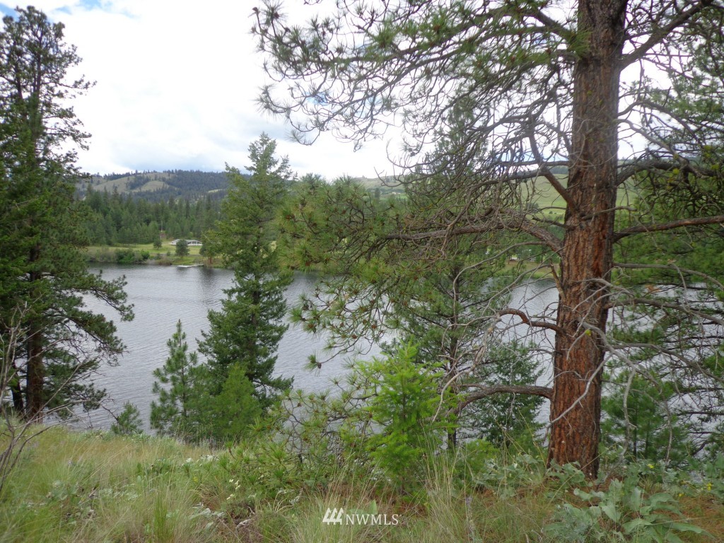 2 Julian Bay Road Republic, WA 99166 - Photo 12 of 12 Gallery Image 12