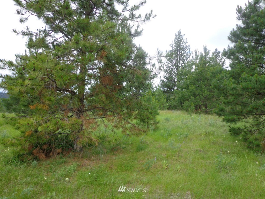 2 Julian Bay Road Republic, WA 99166 - Photo 3 of 12 Gallery Image 3