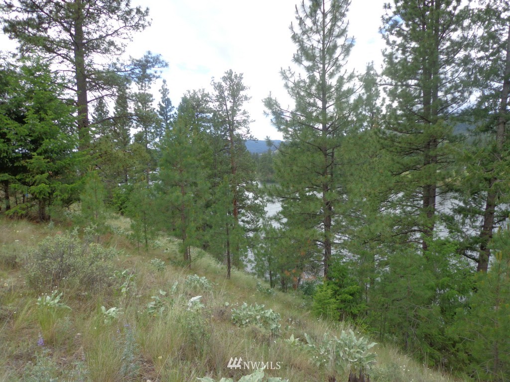 2 Julian Bay Road Republic, WA 99166 - Photo 7 of 12 Gallery Image 7