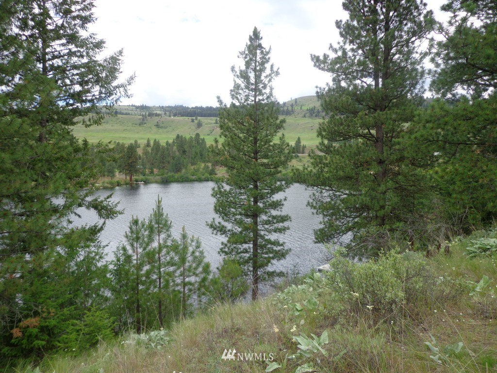 2 Julian Bay Road Republic, WA 99166 - Photo 9 of 12 Gallery Image 9