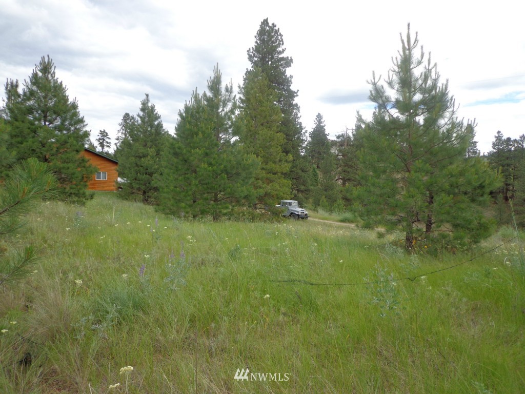 2 Julian Bay Road Republic, WA 99166 - Photo 10 of 12 Gallery Image 10