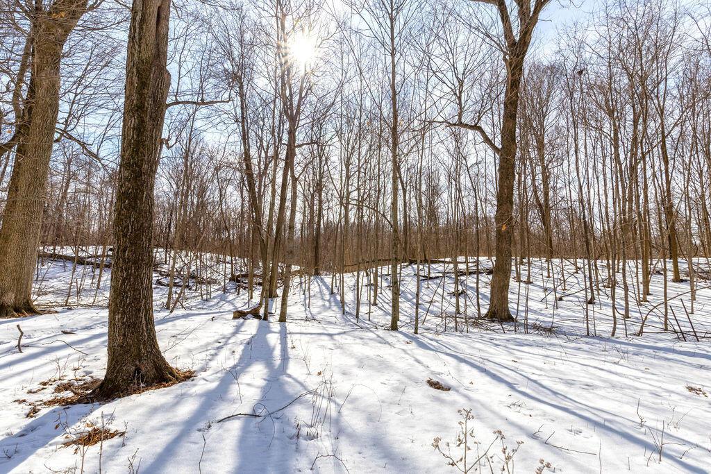 0 Eaglenest Road West Liberty, OH 43357 - Photo 9 of 45