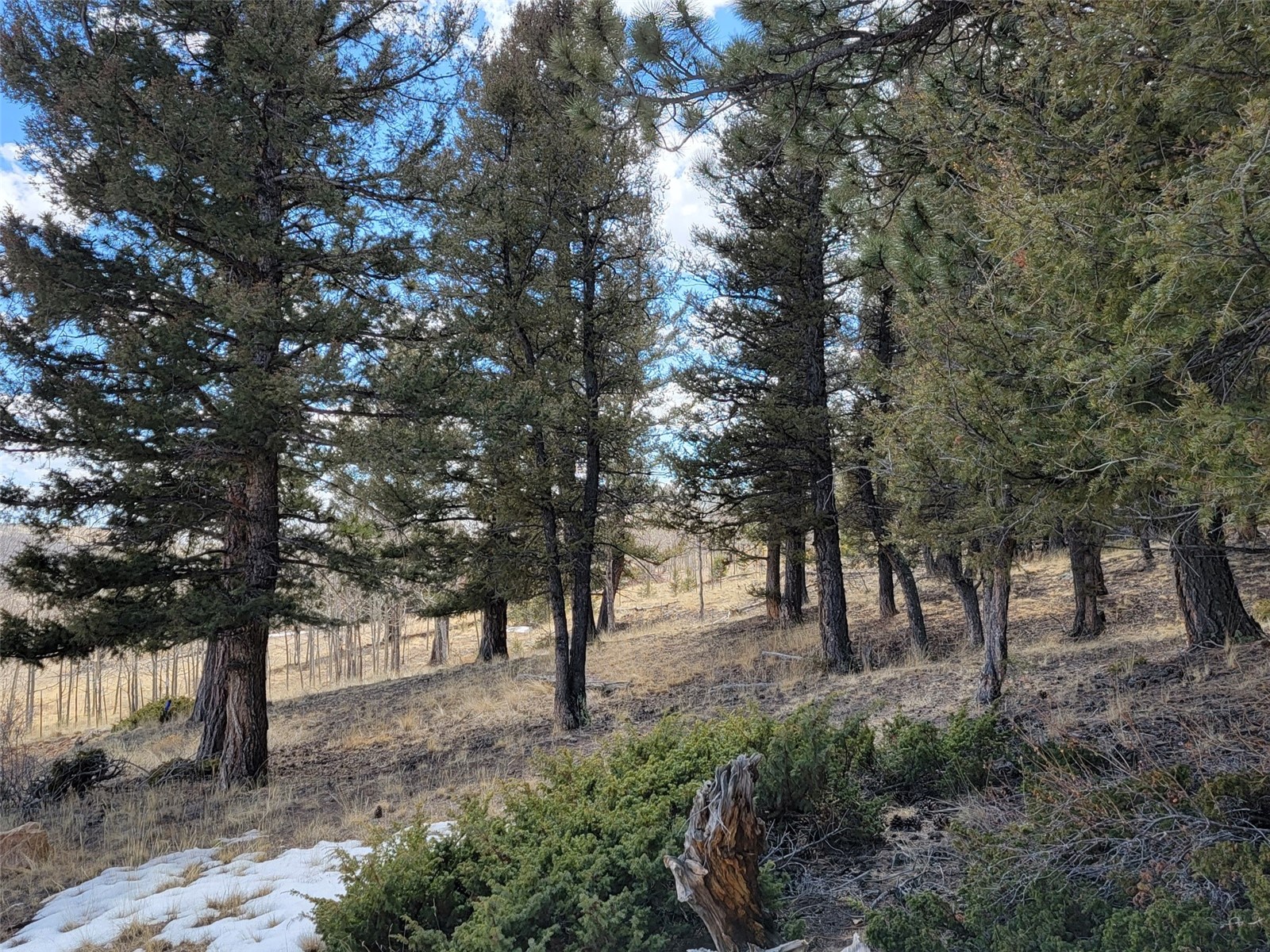 2270 Redhill Road Fairplay, CO 80440 - Photo 21 of 26 Gallery Image 21