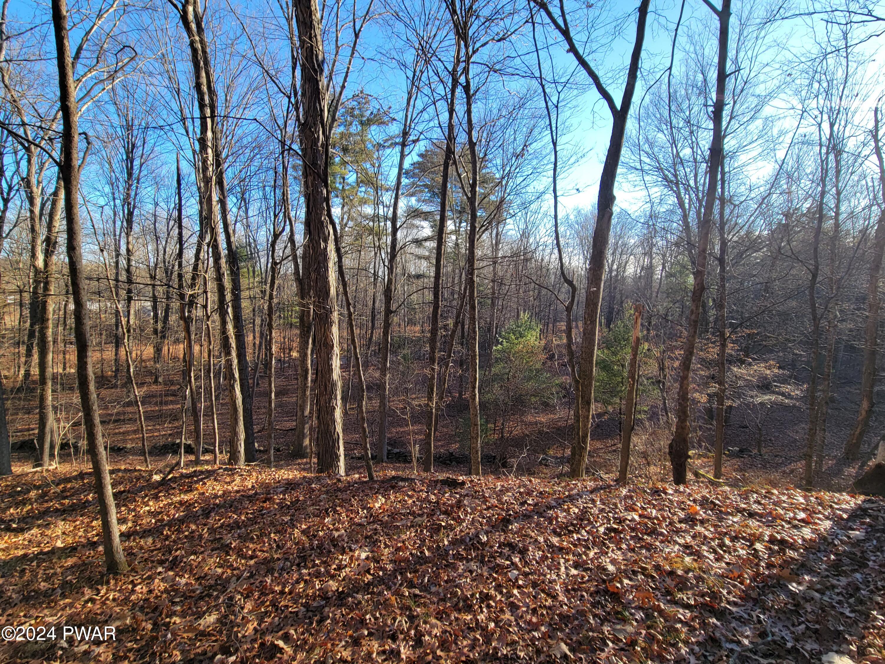 786 Red Rock Road Cresco, PA 18326 - Photo 5 of 5 Wooded