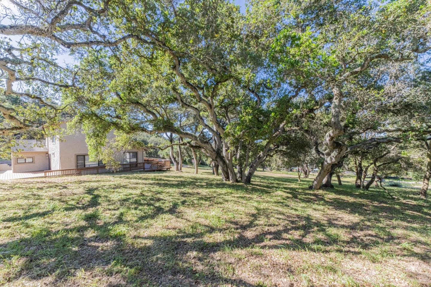 6959 Valle Pacifico Road Salinas, CA 93907 - Photo 34 of 45 a big yard with trees