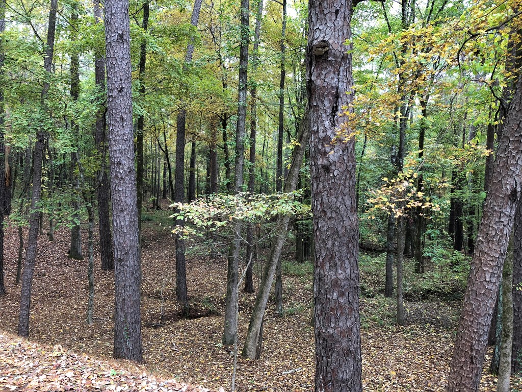 8590 River Road Columbus, GA 31904 - Photo 11 of 16 Gallery Image 11
