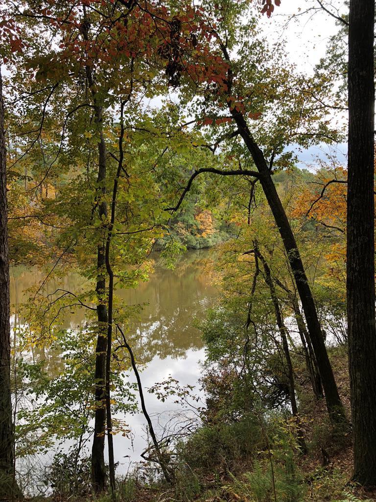 8590 River Road Columbus, GA 31904 - Photo 3 of 16 Gallery Image 3