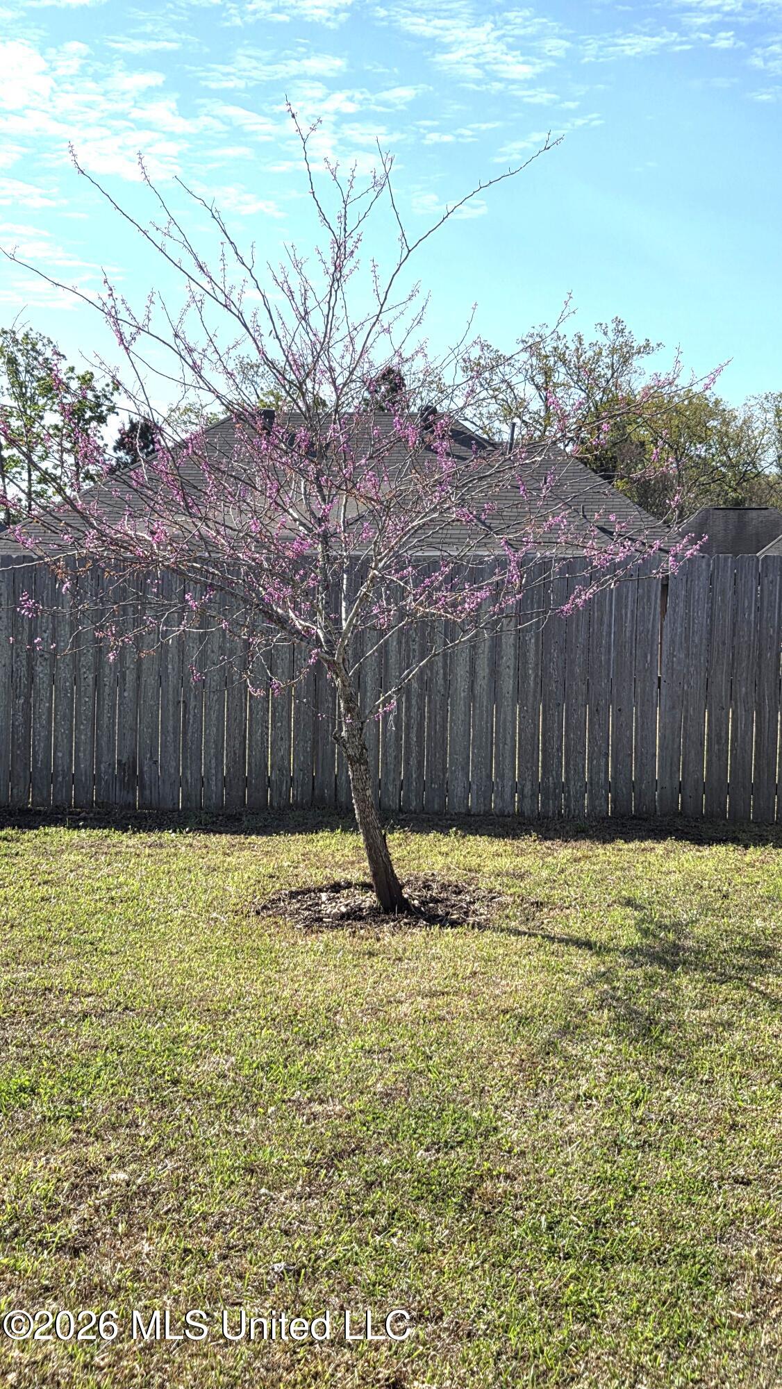 385 Austin Circle Brandon, MS 39047 - Photo 36 of 42 20260319_095220 (002)