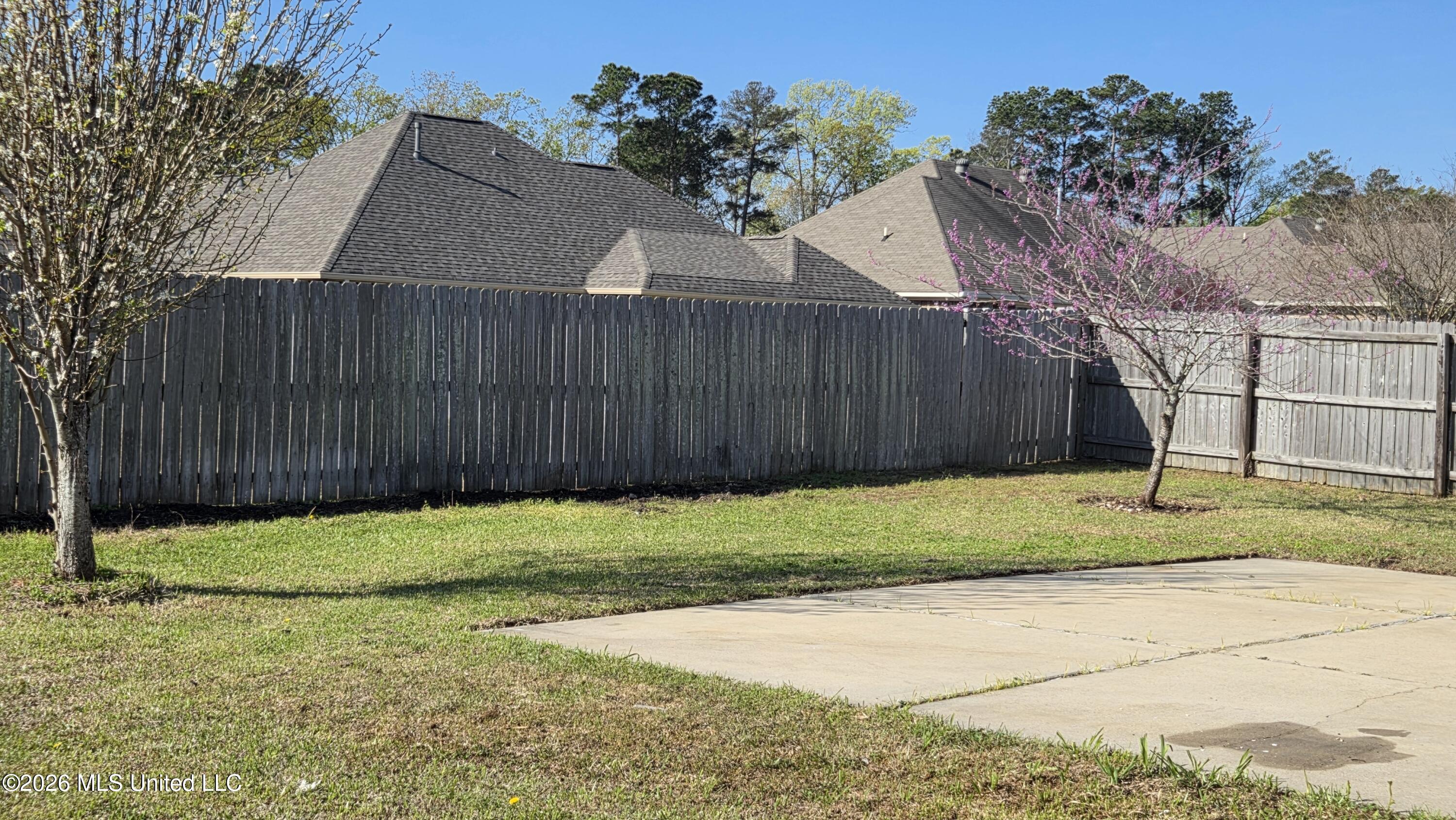 385 Austin Circle Brandon, MS 39047 - Photo 38 of 42 20260319_095318 (002)