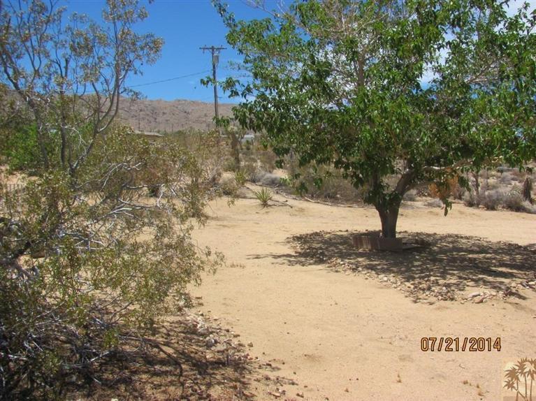 7180 Saddleback Road Joshua Tree, CA 92252 - Photo 17 of 20 a view of a yard covered with snow in outdoor space