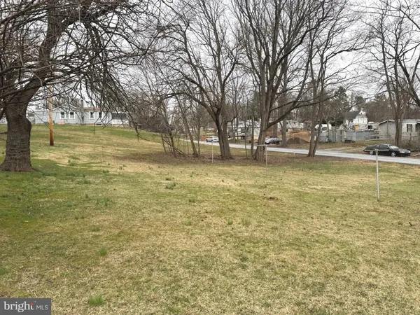 a view of a yard with trees