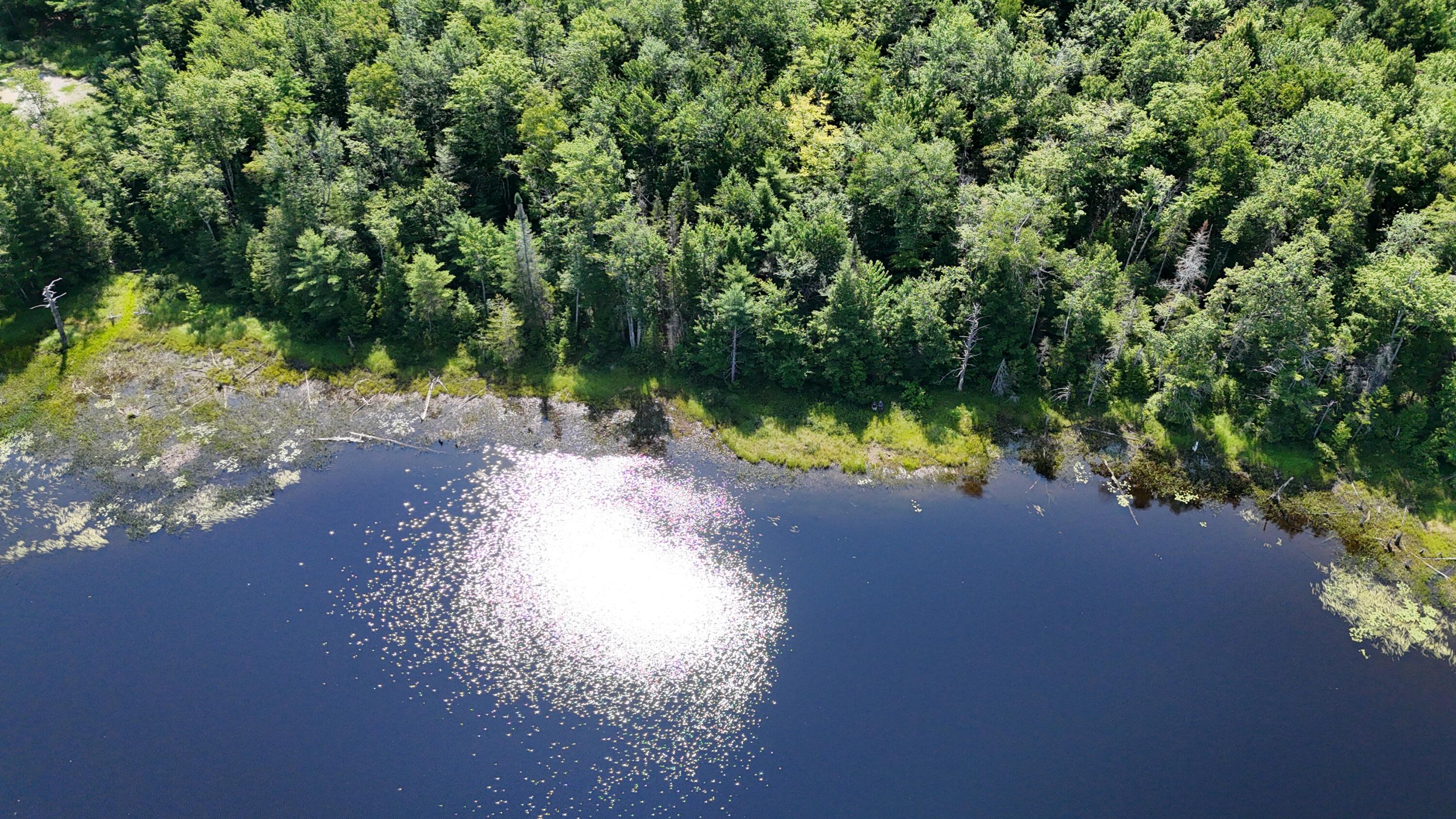 Lot 83-84 Off Jesse Ladd Road Vienna, ME 04360 - Photo 36 of 46 26acresOnDavisPond (35)