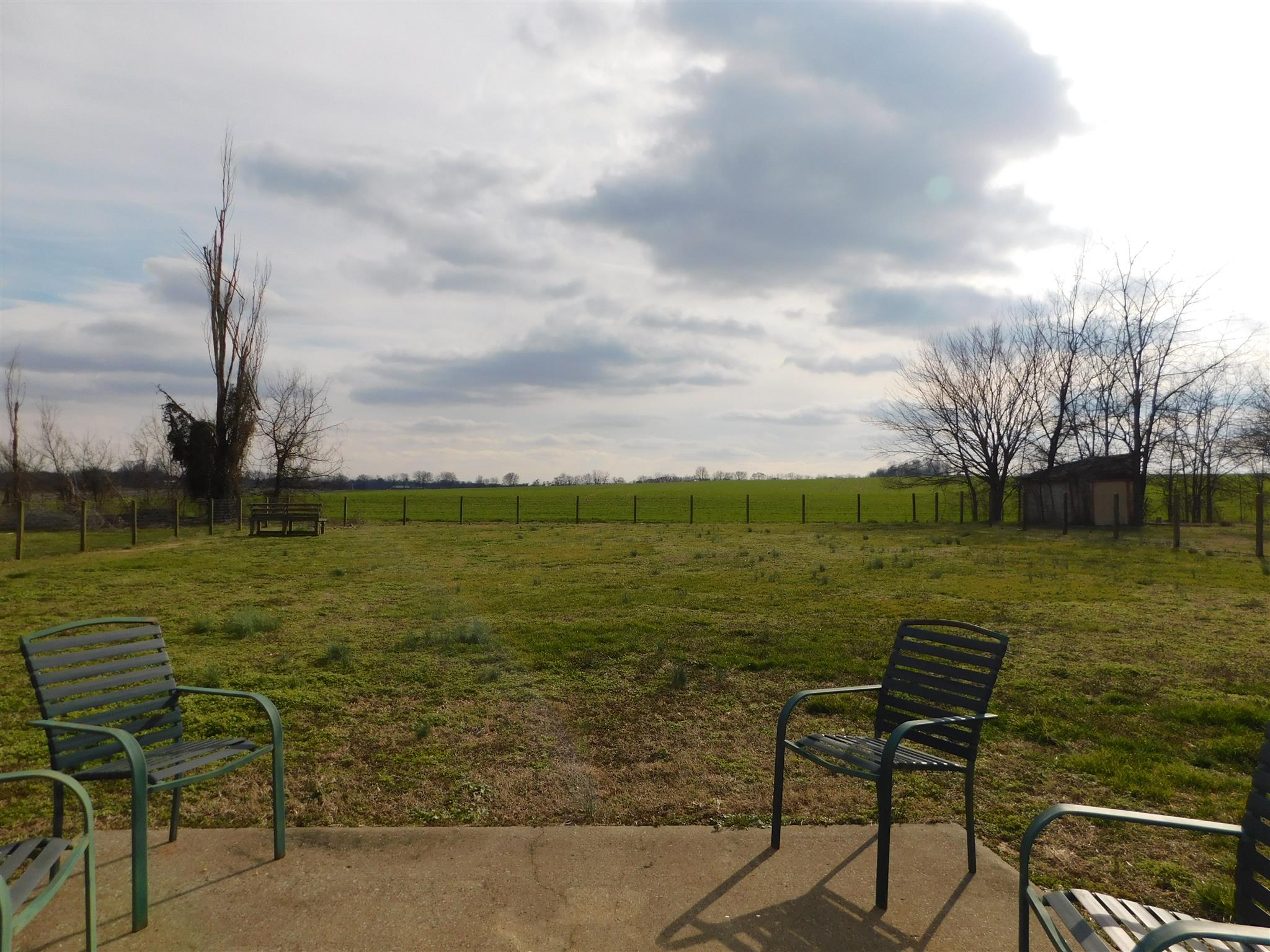 293 Bumpus Mill Road Oak Grove, KY 42262 - Photo 2 of 9 Check out this backyard.
