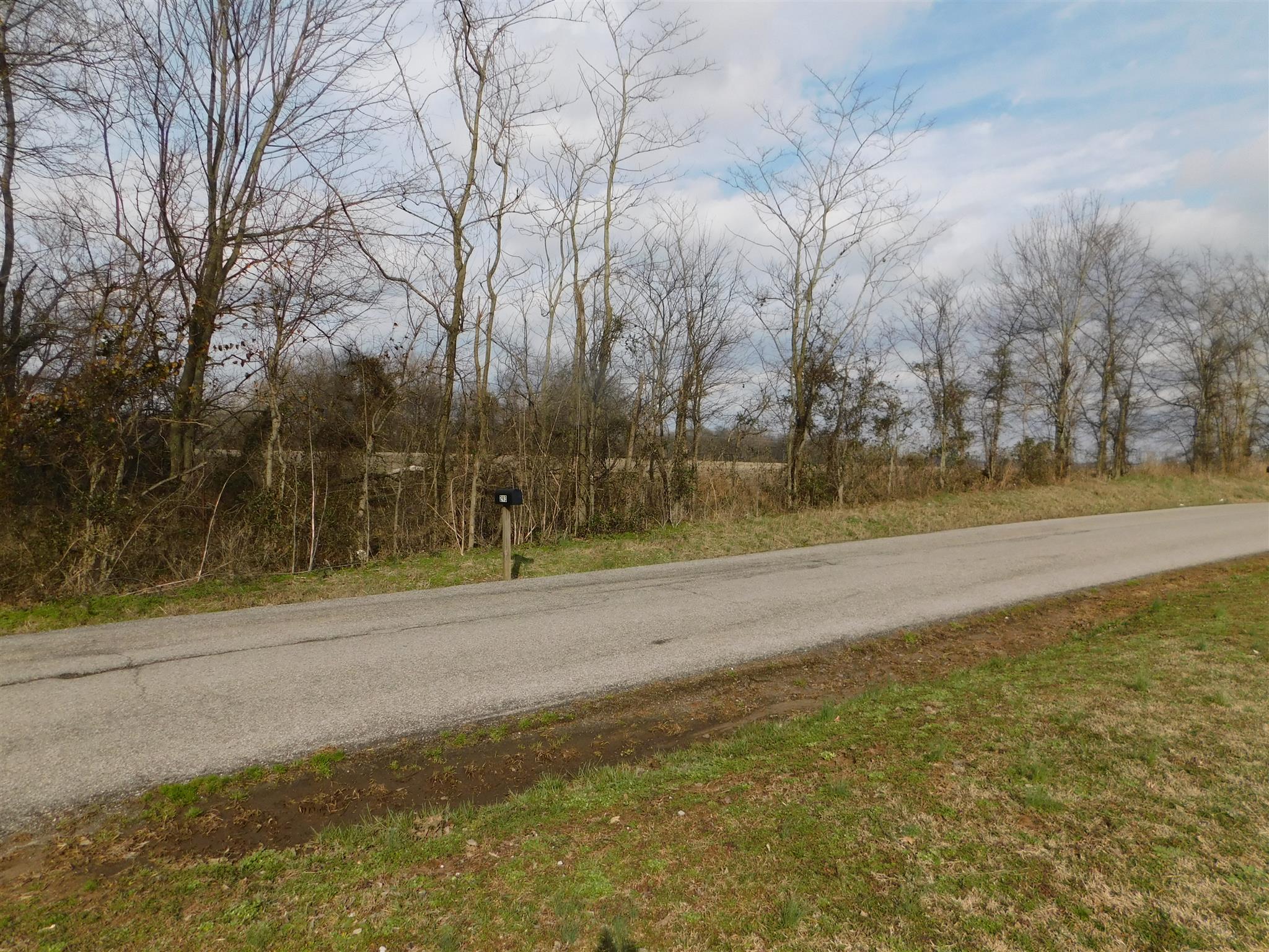 293 Bumpus Mill Road Oak Grove, KY 42262 - Photo 3 of 9 Check out this Front Yard View!