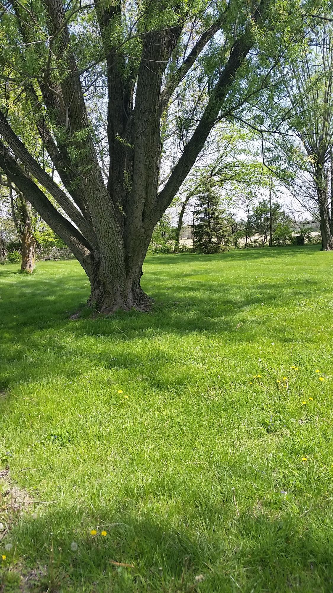 4421 Russell Road Ostrander, OH 43061 - Photo 3 of 5 Gallery Image 3