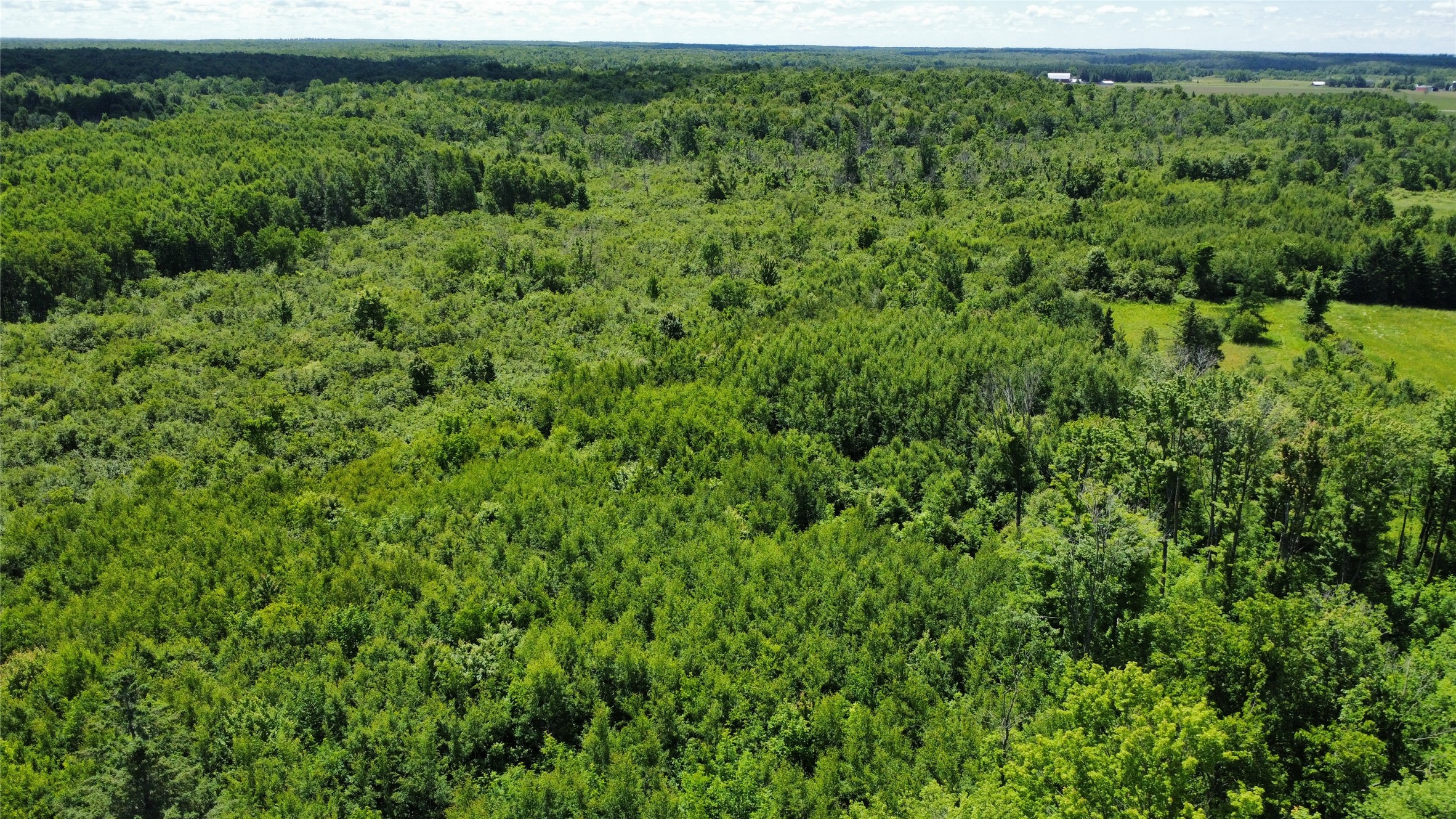 Ooo Snowshoe Road Wausau, WI 54403 - Photo 4 of 48