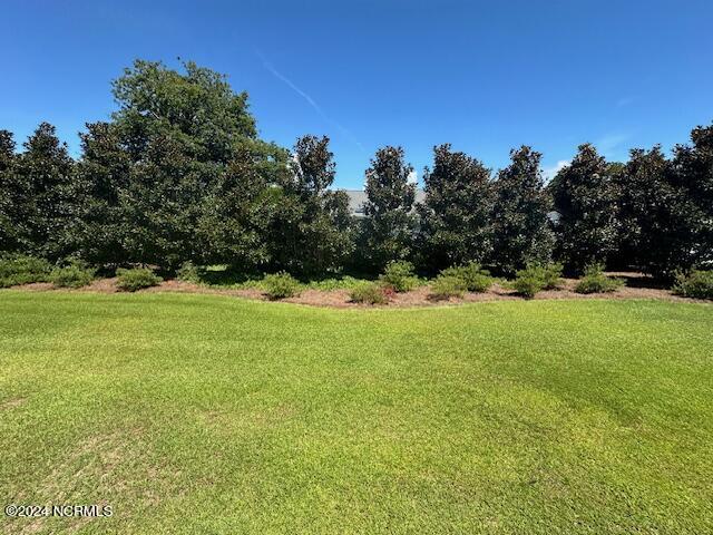 303 Barbour Road, Unit 1102 Morehead City, NC 28557 - Photo 31 of 44 Rear view