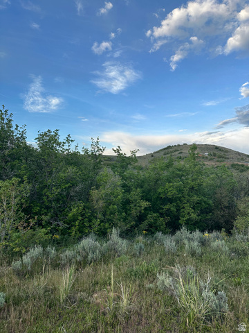 73 North River View Road, Unit 73 Huntsville, UT 84317 - Photo 14 of 21 Expansive land parcel featuring natural grasses, varied green foliage, and a distant elevated terrain
