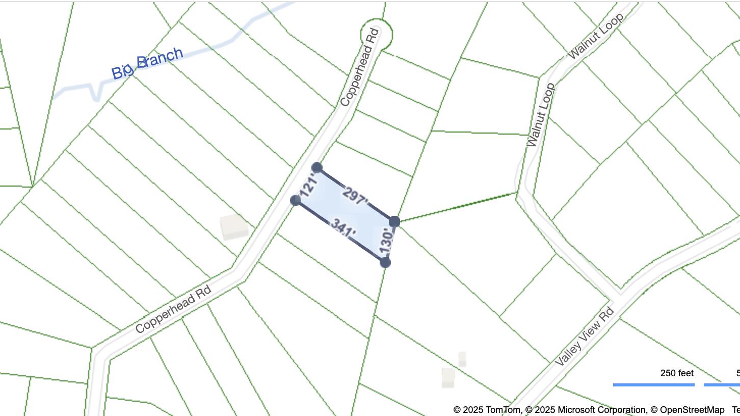 0 Copperhead Road Crossville, TN 38572 - Photo 2 of 3 Screenshot 2025-03-24 at 12.30.03 PM