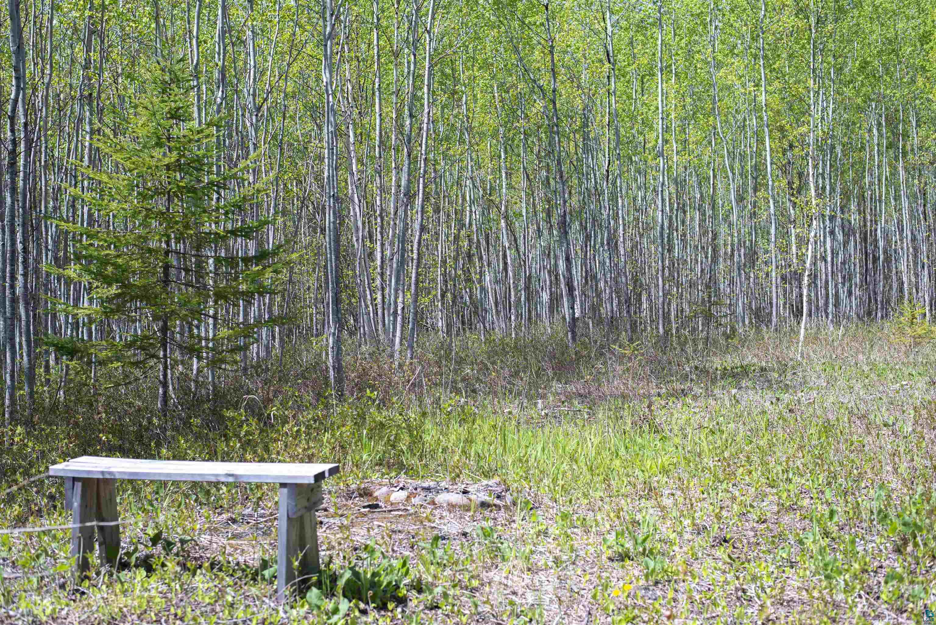 13 Coyote Ridge Grand Marais, MN 55604 - Photo 22 of 30