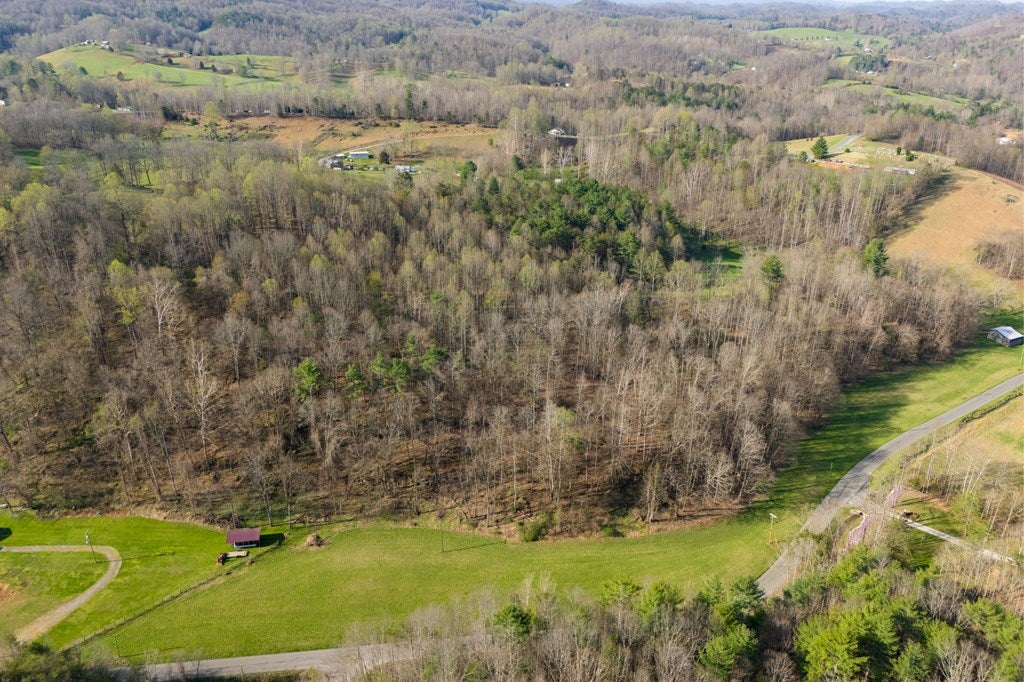 Tbd Denton Valley Road, Unit 45 Abingdon, VA 24211 - Photo 3 of 12 Gallery Image 3